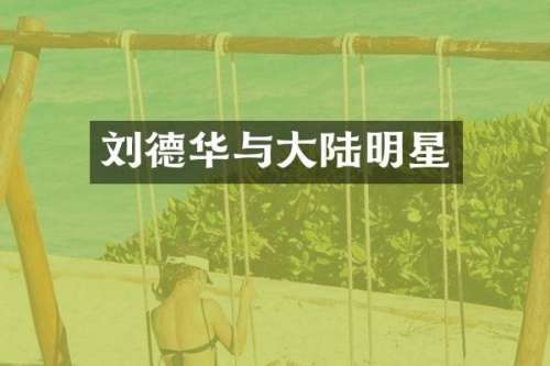 刘德华与大陆明星