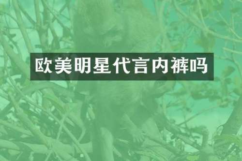欧美明星代言内裤吗
