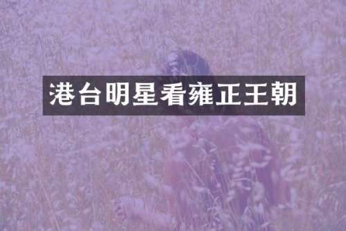 港台明星看雍正王朝