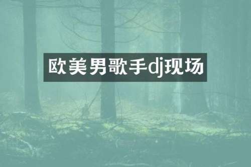欧美男歌手dj现场
