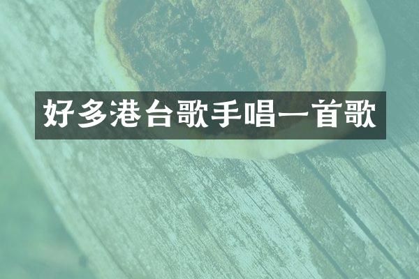 好多港台歌手唱一首歌