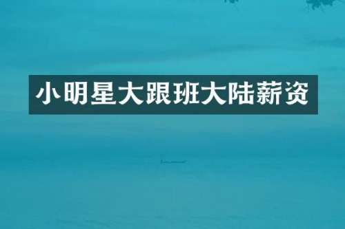 小明星大跟班大陆薪资