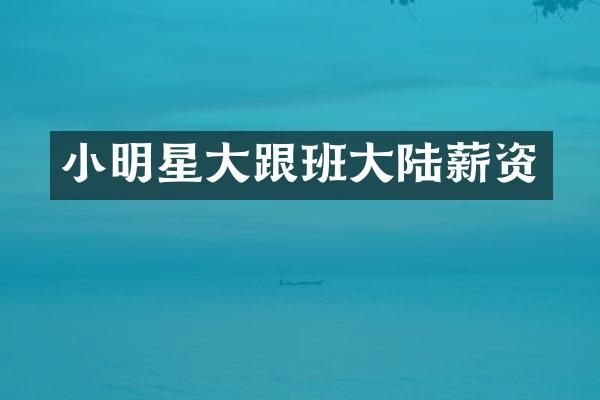 小明星大跟班大陆薪资