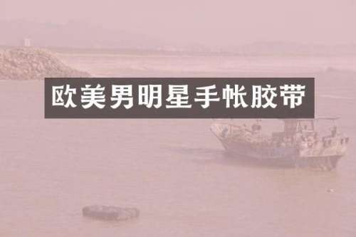欧美男明星手帐胶带