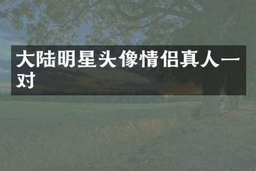大陆明星头像情侣真人一对