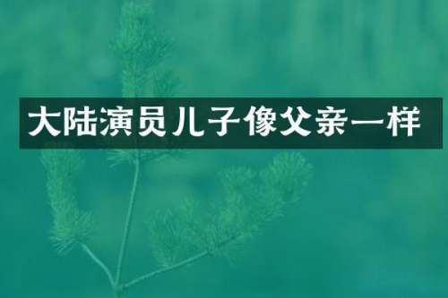 大陆演员儿子像父亲一样