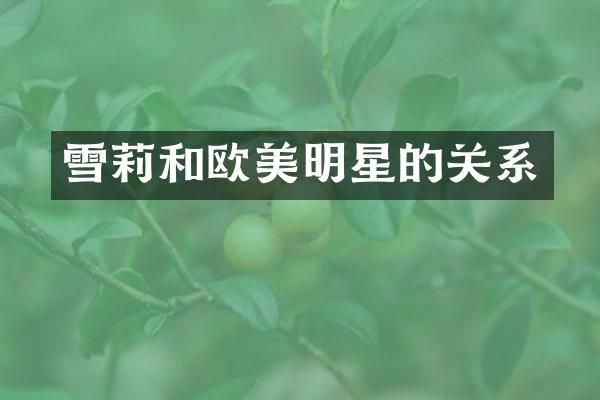 雪莉和欧美明星的关系