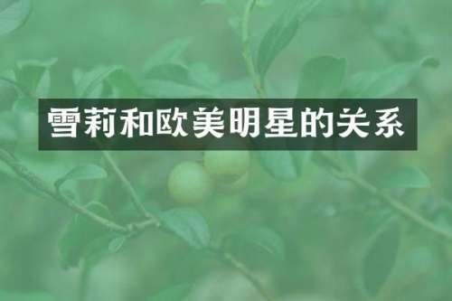 雪莉和欧美明星的关系