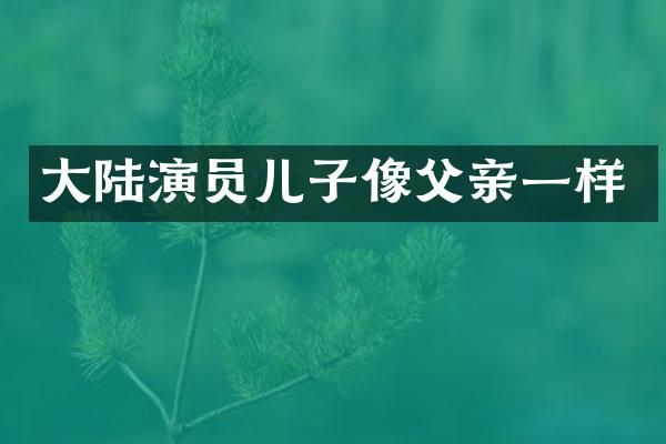 大陆演员儿子像父亲一样