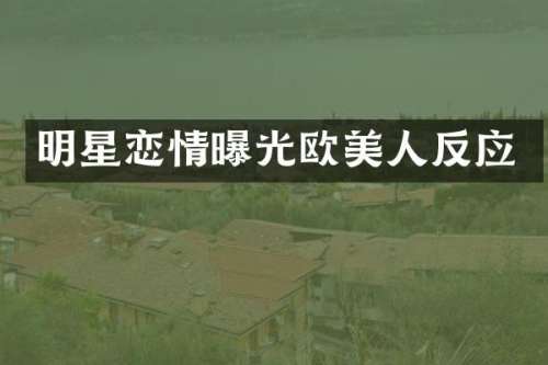 明星恋情曝光欧美人反应