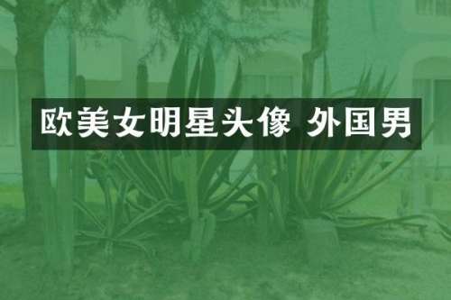 欧明星头像 外国男