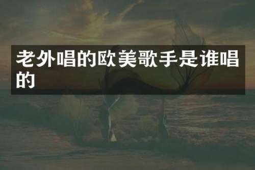 老外唱的欧美歌手是谁唱的