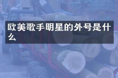 欧美歌手明星的外号是什么
