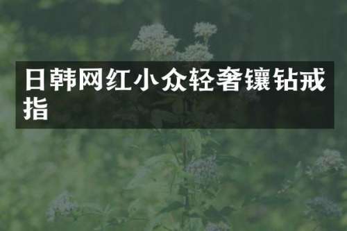 日韩网红小众轻奢镶钻戒指