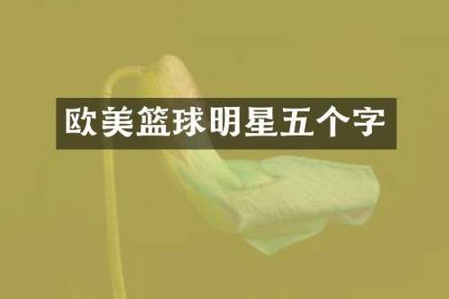 欧美篮球明星五个字