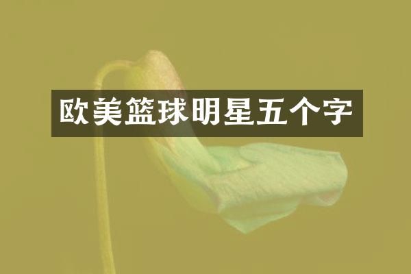 欧美篮球明星五个字