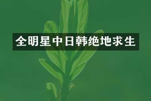 全明星中日韩绝地求生
