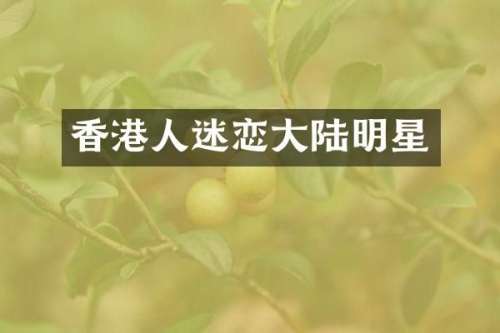 香港人迷恋大陆明星