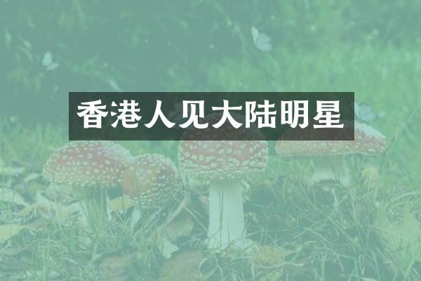 香港人见大陆明星