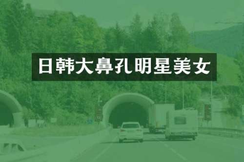日韩大鼻孔明星
