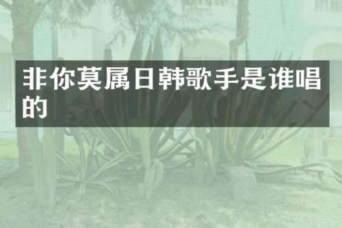 非你莫属日韩歌手是谁唱的