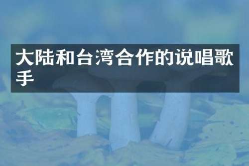 大陆和台湾合作的说唱歌手
