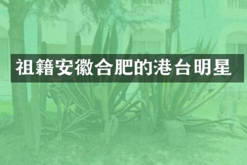 祖籍安徽合肥的港台明星