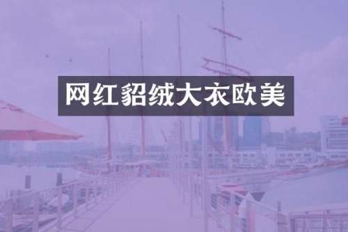 网红貂绒大衣欧美
