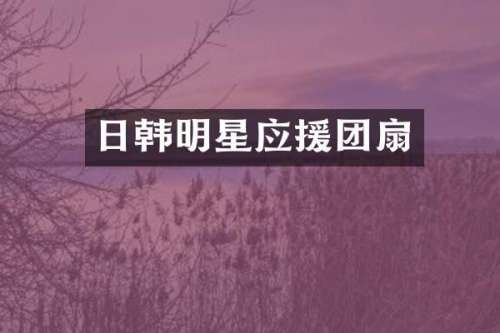 日韩明星应援团扇
