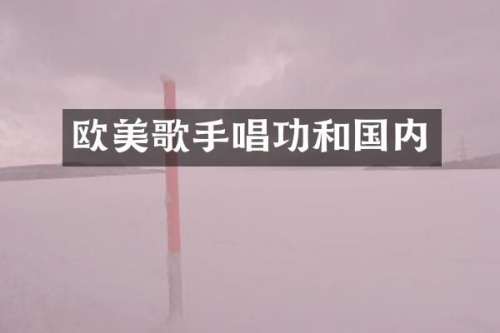 欧美歌手唱功和国内