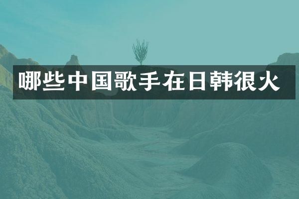 哪些中国歌手在日韩很火