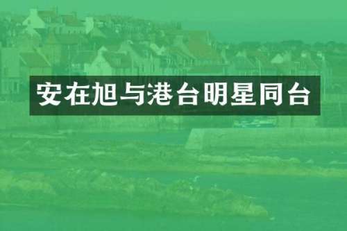 安在旭与港台明星同台