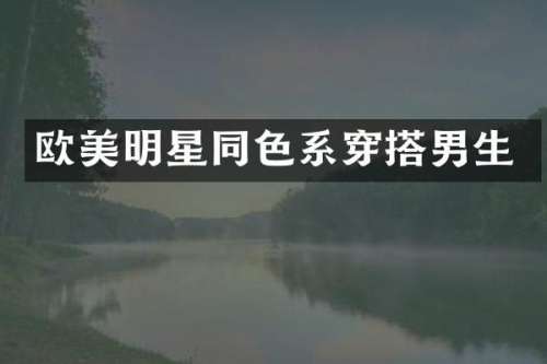 欧美明星同色系穿搭男生