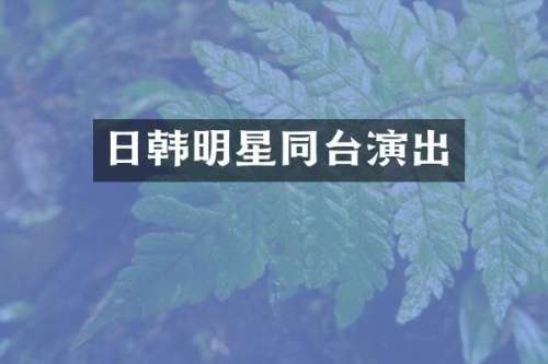 日韩明星同台演出