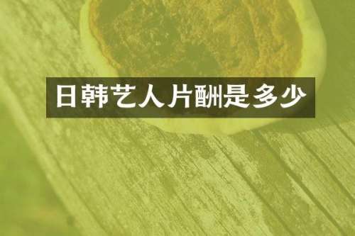 日韩艺人片酬是多少