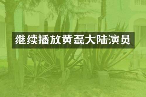 继续播放黄磊大陆演员