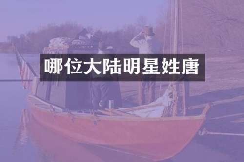 哪位大陆明星姓唐