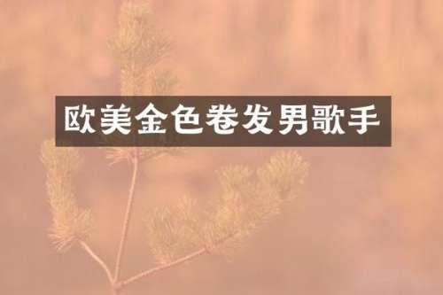 欧美金色卷发男歌手