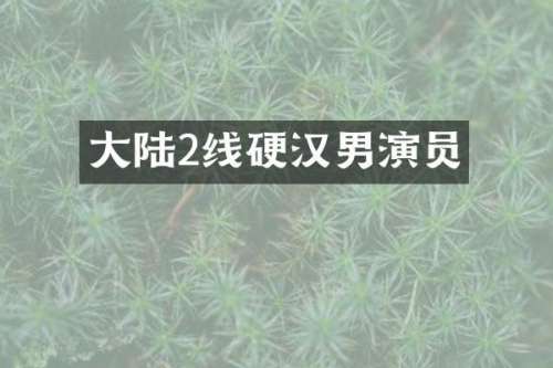 大陆2线硬汉男演员