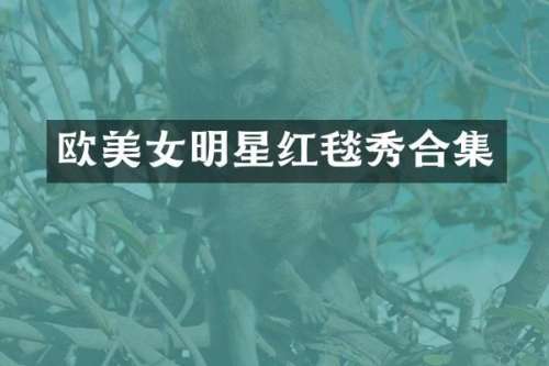 欧明星红毯秀