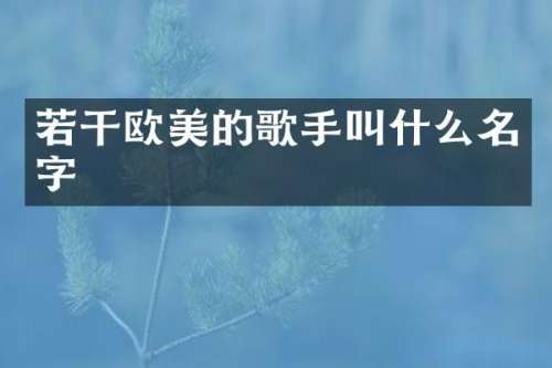 若干欧美的歌手叫什么名字