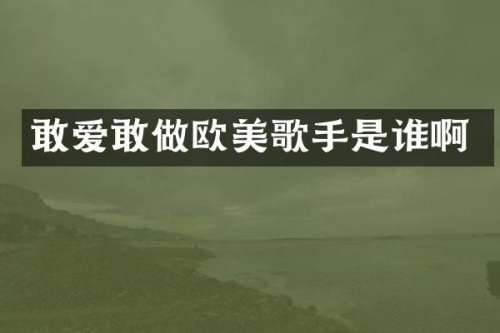 敢爱敢做欧美歌手是谁啊
