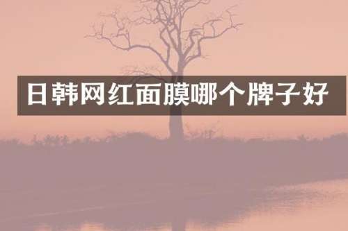 日韩网红面膜哪个牌子好