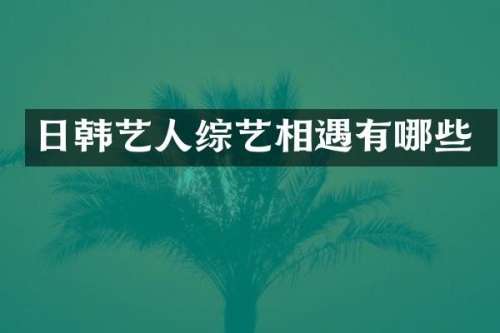 日韩艺人综艺相遇有哪些