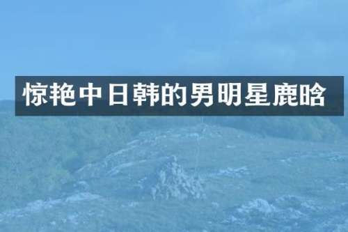 惊艳中日韩的男明星鹿晗