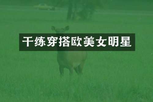 干练穿搭欧明星