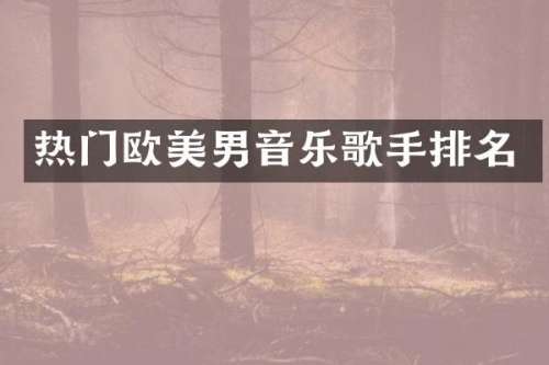 热门欧美男音乐歌手排名