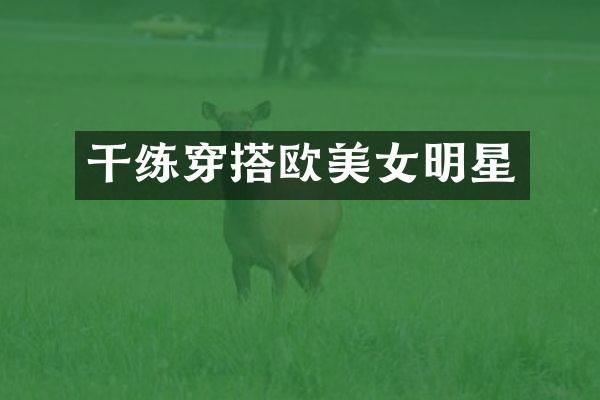 干练穿搭欧明星
