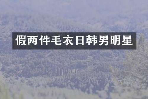 假两件毛衣日韩男明星