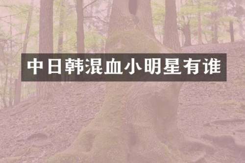 中日韩混血小明星有谁